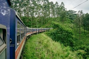 Ella Train Journey in Sri Lanka – The Most Scenic Train Ride in the World (2026 Guide)
